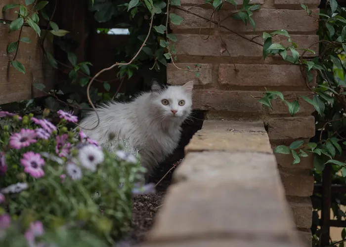 Σπίτι διακοπών La Casa Del Colle *
