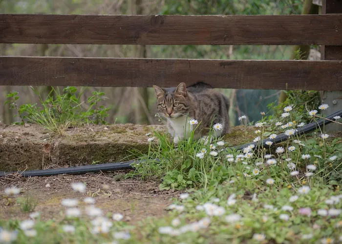 La Casa Del Colle * San Ginesio